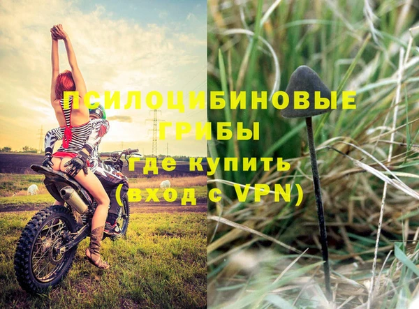 эйфоретик Кинешма