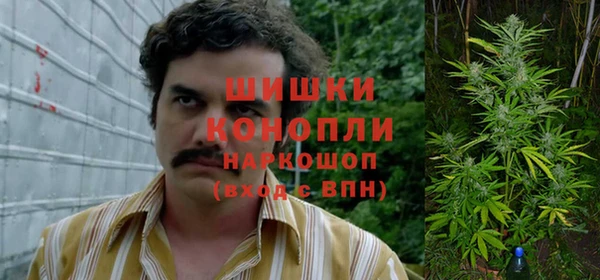 эйфоретик Кинешма