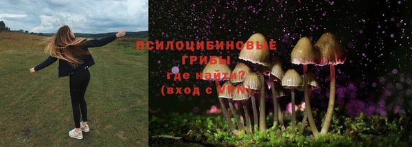 эйфоретик Кинешма